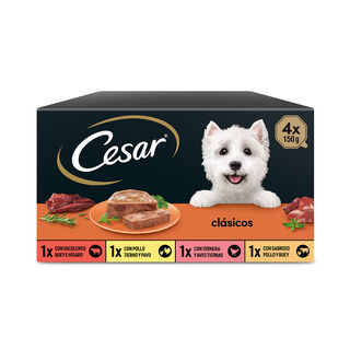 Cesar Selección Clasicos Tarrina en Paté para Perros - Multipack